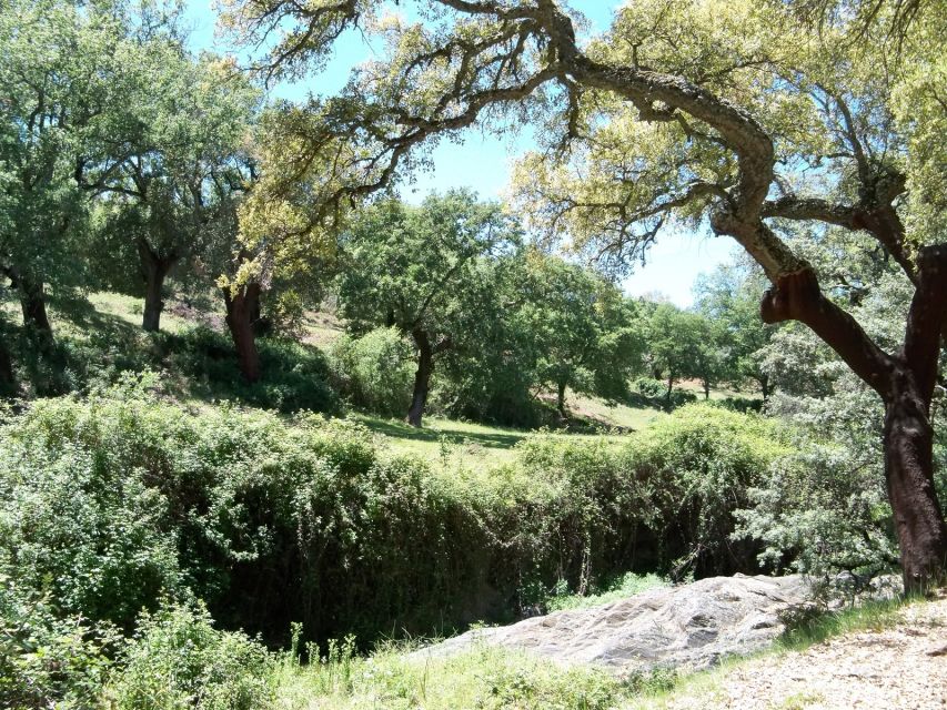 From Seville: Full-Day Aracena & Rio Tinto Mines Tour - FAQ