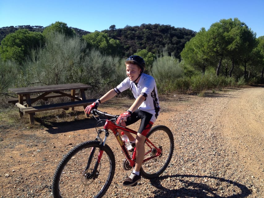 From Seville: Half-Day Guided Bike Trip to Italica - Guides Matter: You’ll Learn More Than You Expect