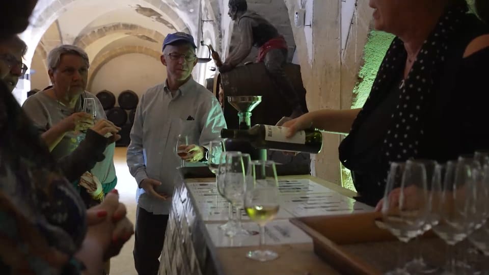 From Seville: Jerez, Cádiz and Andalusian Horses - Key highlights at a glance