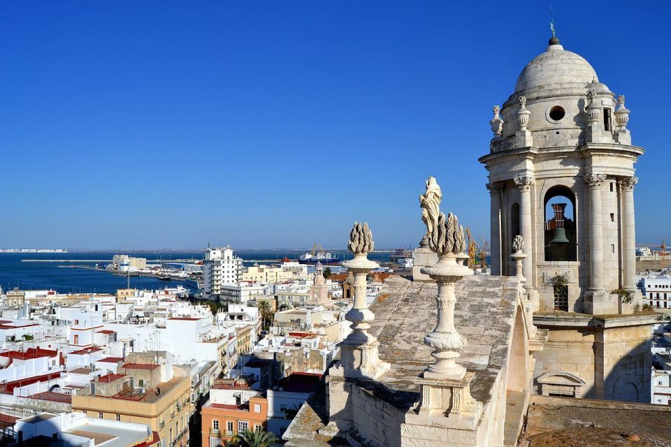 From Seville: Jerez, Cádiz and Andalusian Horses - Food and drinks: where the gaps are
