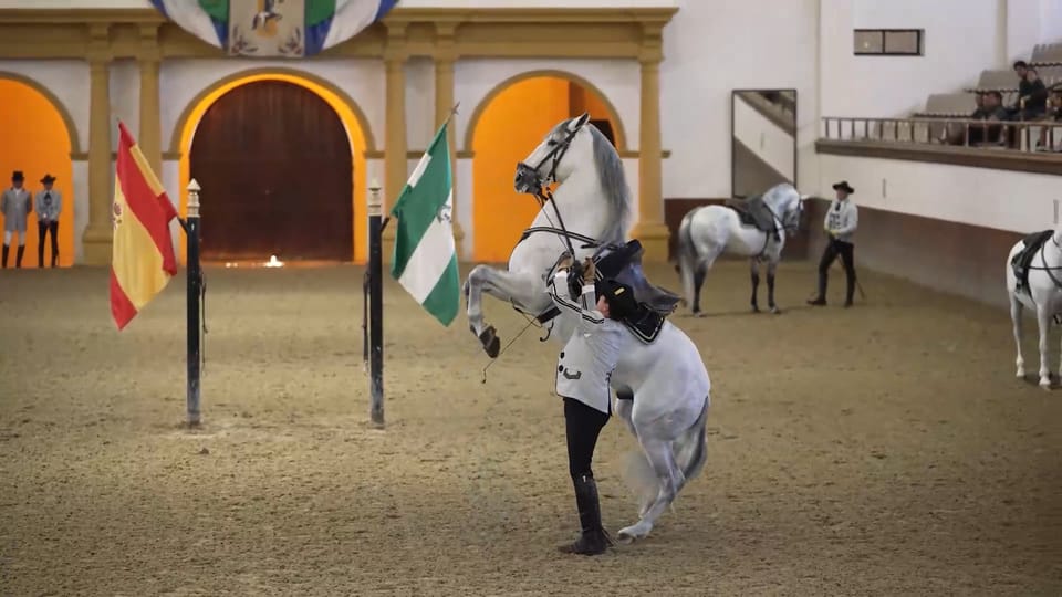 From Seville: Jerez, Cádiz and Andalusian Horses - Jerez bodega time: wooden casks and real sherry tasting