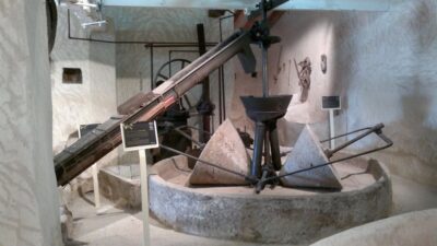 From Seville: Olive Oil Farm Tour - Orchard Walk: Where the Olive Story Starts