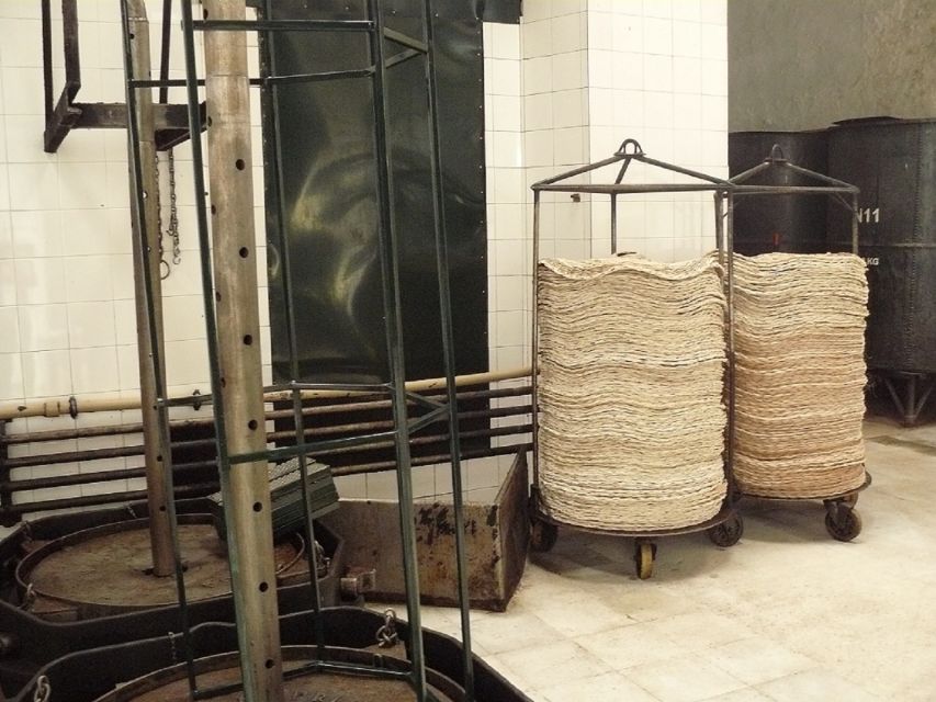 From Seville: Olive Oil Farm Tour - Tasting Liquid Gold: Sweet, Bitter, and Spicy Oils