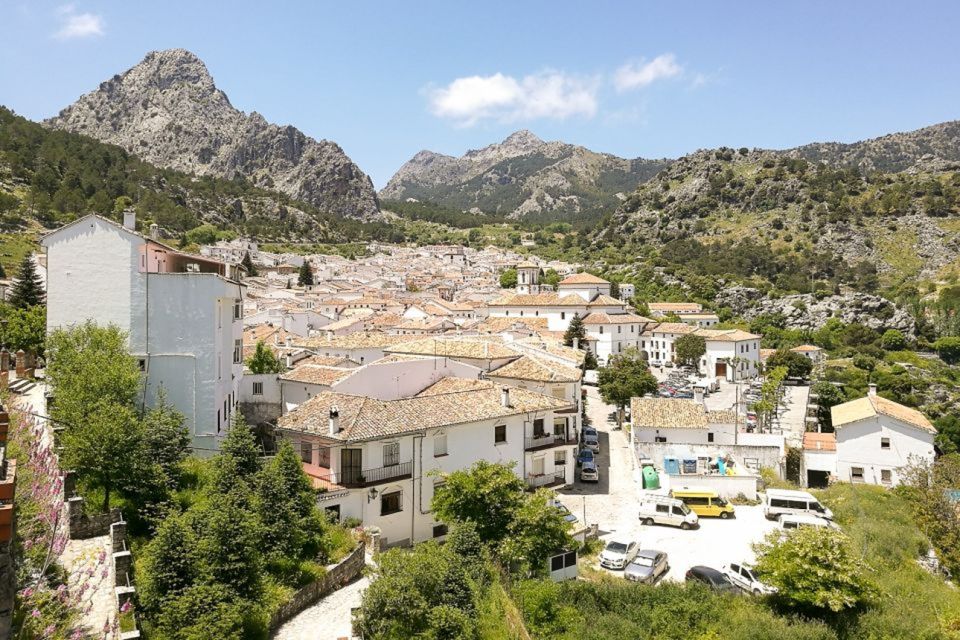 From Seville: White Villages and Ronda Tour - The Olive Oil Stop: A Practical Cultural Detour