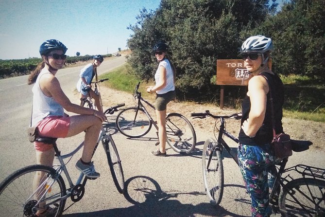 From Sitges: Bike Tour and Winery Visit with Free Hotel Pick Up. - The other cava moments on the route (and what to expect)