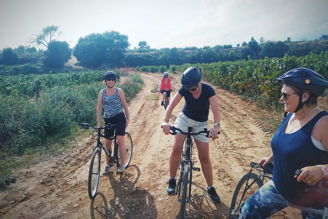 From Sitges: Bike Tour and Winery Visit with Free Hotel Pick Up. - Bikes, comfort, and the real fitness level