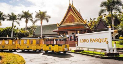 From South Tenerife: Loro Park Zoo Ticket & Hotel Transfers - First Impressions Inside Loro Parque: Clean Layout and Show Timing