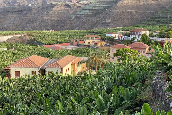 From Tenerife: Tajogaite Volcano, La Cumbrecita and Casco Antiguo - Tacande de Arriba to Tazacorte: First Views of the Exclusion Zone