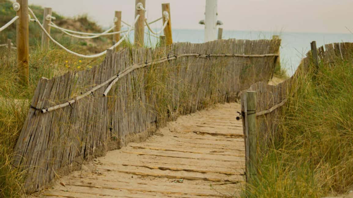 From Valencia: Albufera Natural Park Eco Boat Tour & Sunset - Getting From Valencia to Albufera Fast