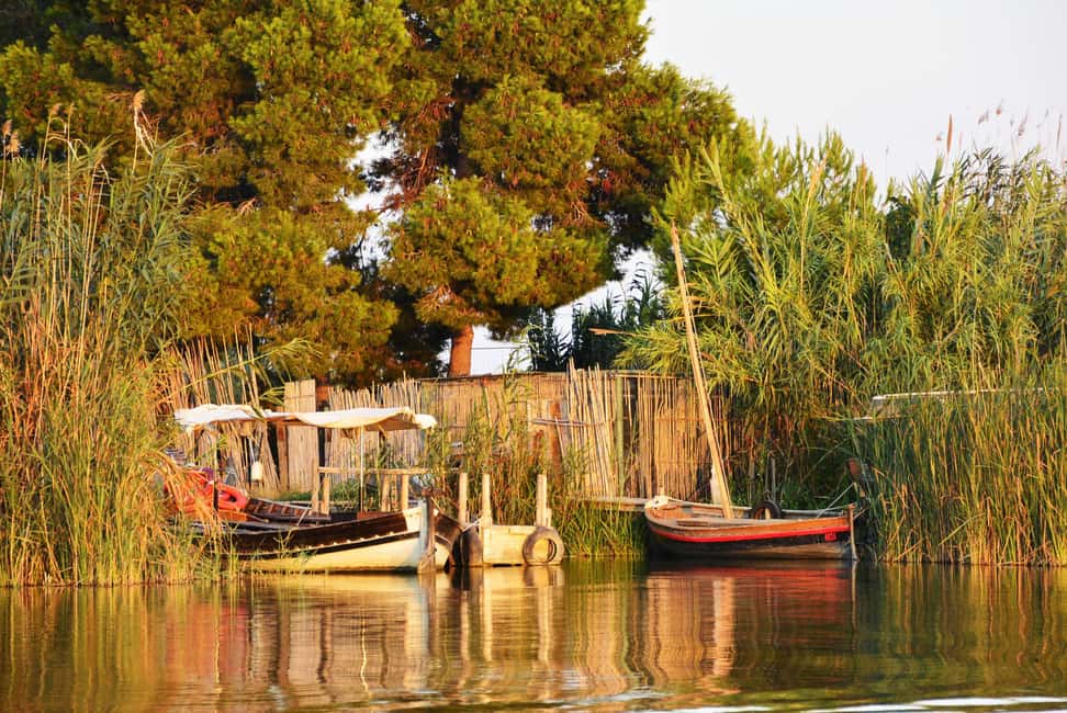 From Valencia: Albufera Natural Park with Sunset Boat Tour - Key highlights you’ll feel right away