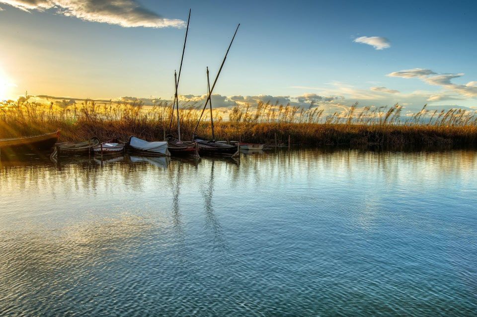 From Valencia: Albufera Natural Park with Sunset Boat Tour - Should you book this Albufera sunset tour? My take