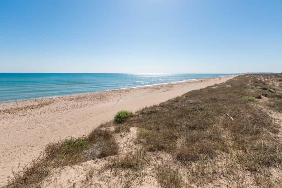 From Valencia: Albufera Natural Park with Sunset Boat Tour - What guides do differently: Alejandro’s facts and Nico’s stories