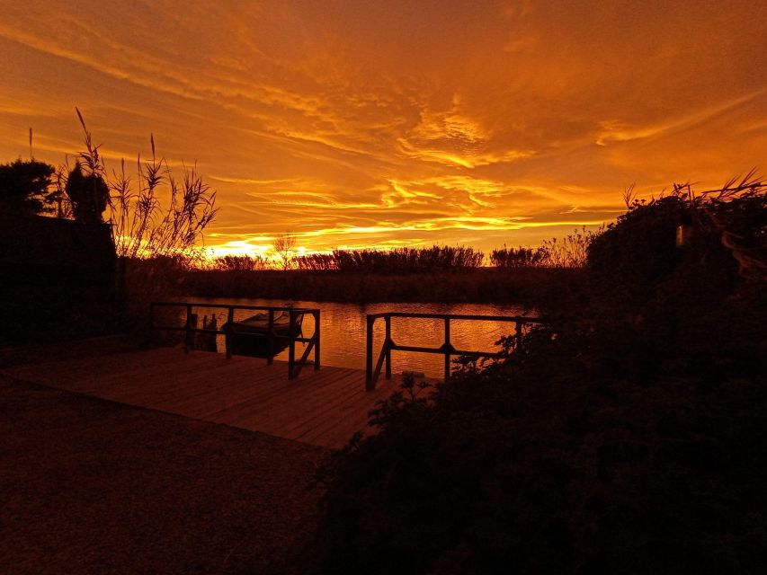 From Valencia: Albufera Natural Park with Sunset Boat Tour - When weather changes the plan, here’s what to expect