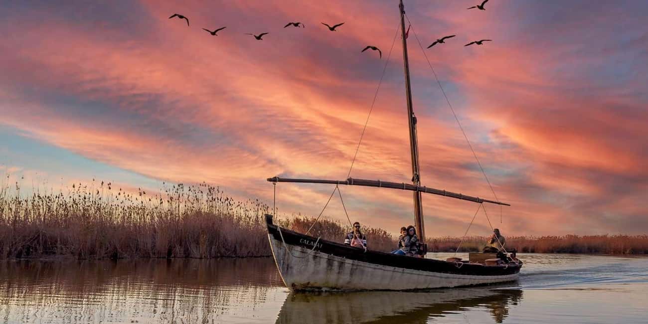 From Valencia: Albufera Natural Park with Sunset Boat Tour - Wetland Walk by dunes and decked paths: what the 50–60 minutes is really like