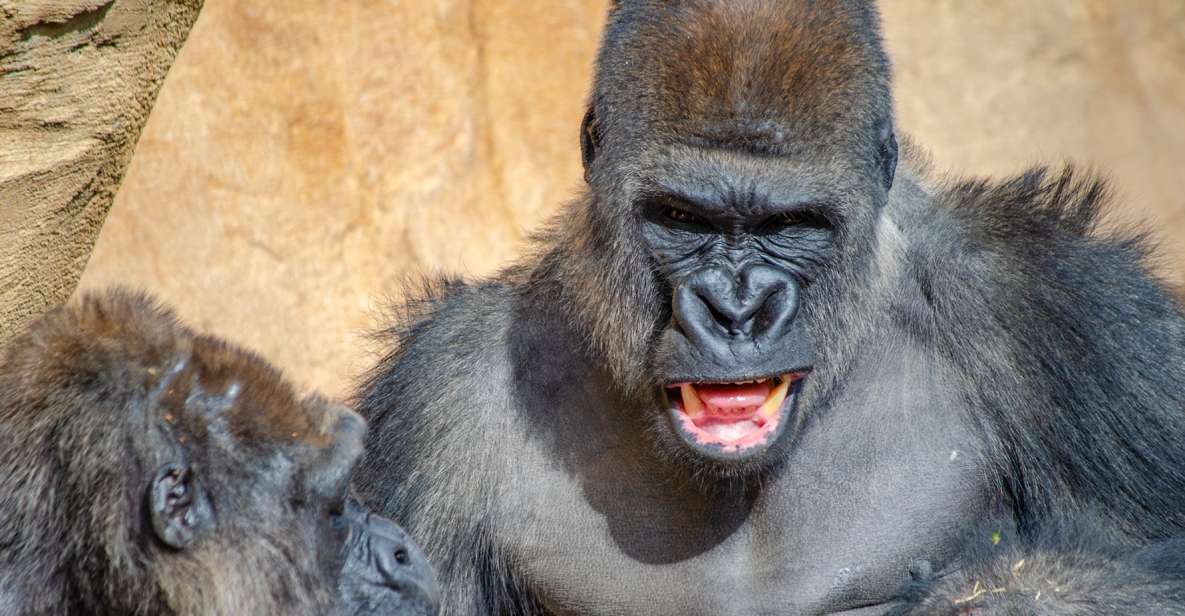 Fuengirola: Bioparc Entrance Ticket - Key highlights you should care about