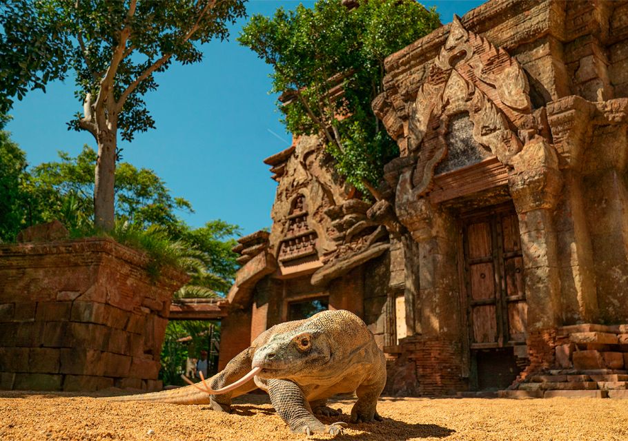Fuengirola: Bioparc Entrance Ticket - Southeast Asia: reptiles, shade, and the kind of show you notice