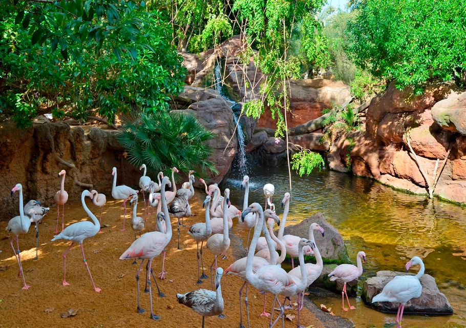 Fuengirola: Bioparc Entrance Ticket - Indo-Pacific: a bird-forward world and dramatic moments