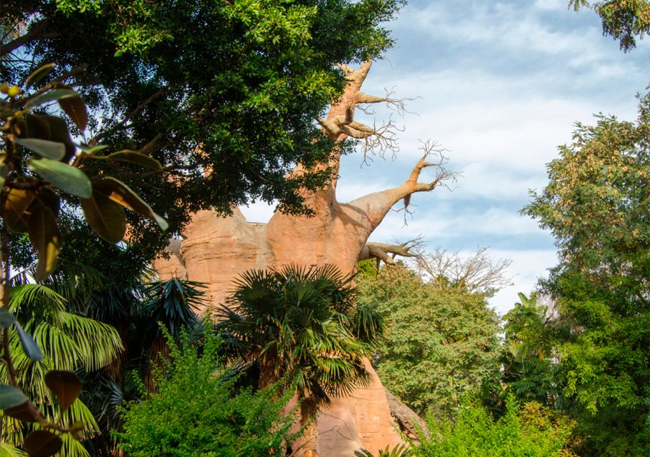 Fuengirola: Bioparc Entrance Ticket - Animal feedings, commentary, and what to watch for