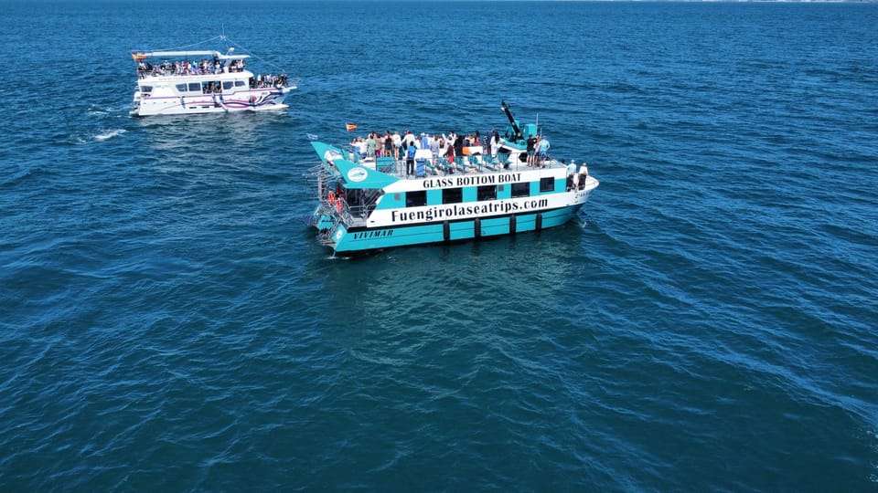 Fuengirola: Catamaran Tour to Spot Dolphins - Key Things To Know Before You Go