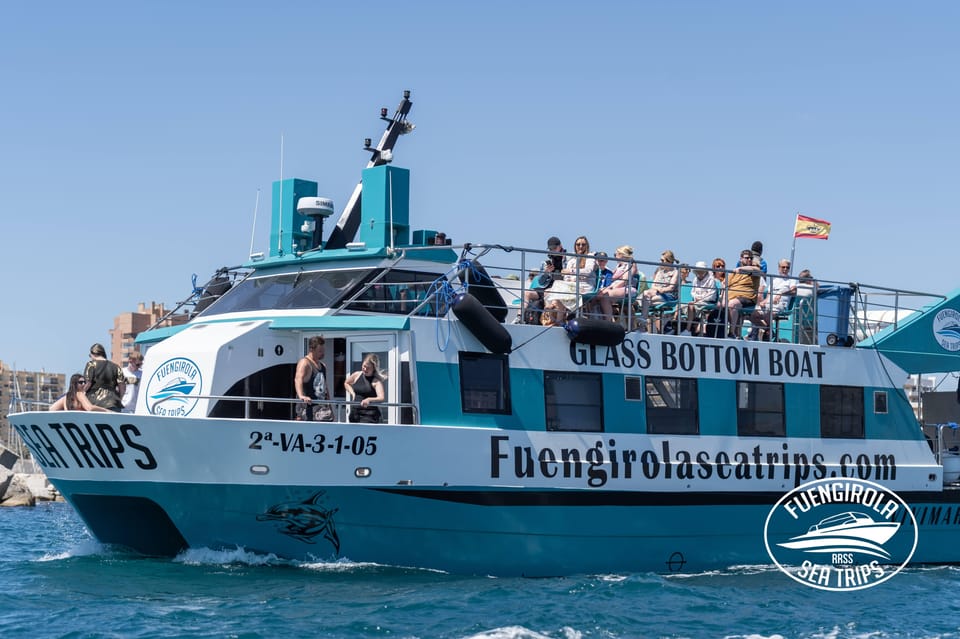Fuengirola: Catamaran Tour to Spot Dolphins - Dolphin Watching in Fuengirola: What This Catamaran Trip Really Feels Like