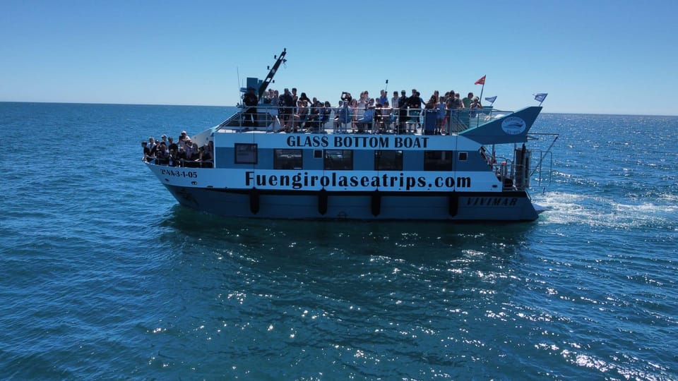 Fuengirola: Catamaran Tour to Spot Dolphins - The Two-Hour Pattern: Sailing Out, Finding the Pod, Then Watching