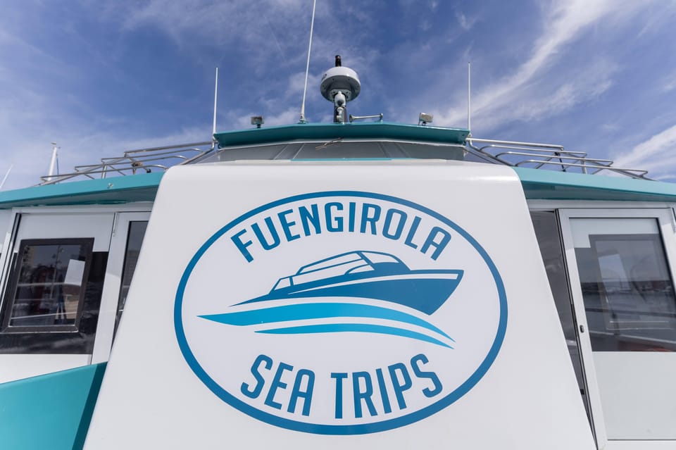 Fuengirola: Catamaran Tour to Spot Dolphins - Where to Stand or Sit: Upper Deck Views and Real Camera Angles