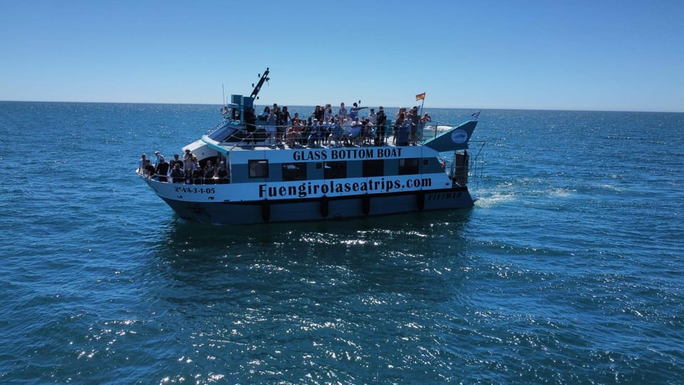 Fuengirola: Catamaran Tour to Spot Dolphins - Glass-Bottom Windows: What to Expect (and What Might Surprise You)