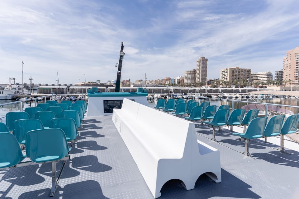 Fuengirola: Catamaran Tour to Spot Dolphins - Dolphins and Safety: Watching Wild Animals the Right Way