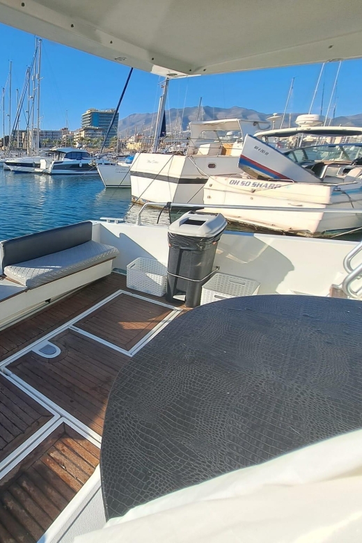 Fuengirola: Dolphin Spotting Tour - Key Things to Know Before You Go