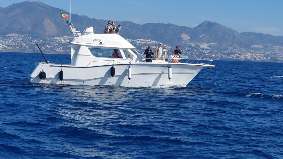 Fuengirola: Dolphin Watching Boat Trip — Fun for All Ages - Price and value: is $41 fair for what you get?