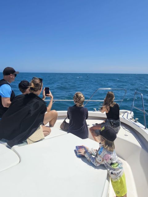 Fuengirola: Dolphin Watching Boat Trip — Fun for All Ages - Weather, schedule changes, and what to do mentally