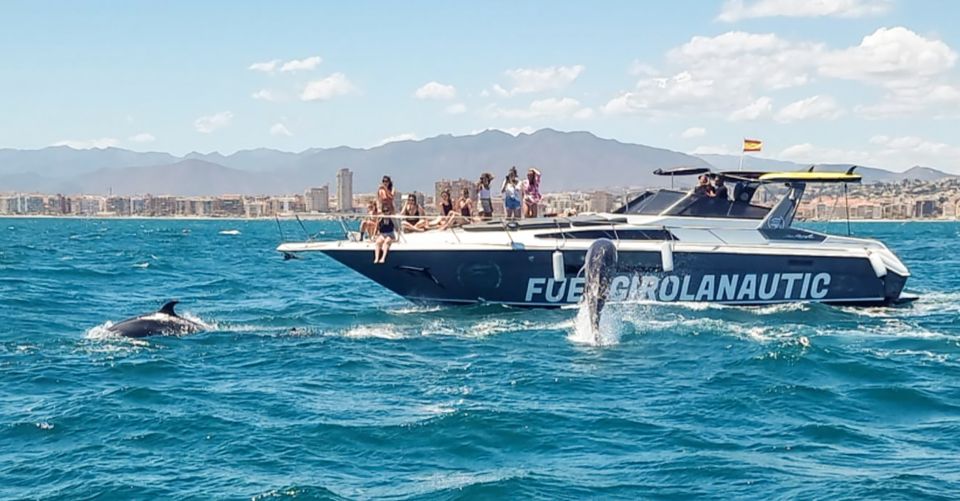 Fuengirola: Dolphin Watching by Yacht with Snacks and Drinks - Price and value: is it worth about $47 for 2 hours?