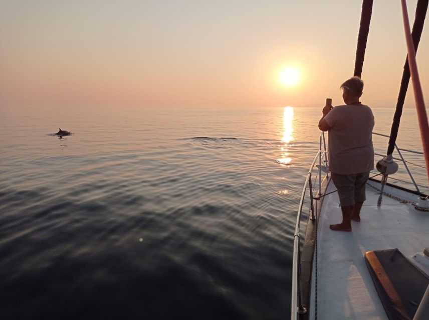 Fuengirola: Dolphin-Watching Sailing Tour with Drinks - Fuengirola Marina: quick start, clear vibe, short ride