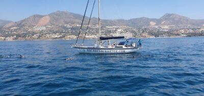 Fuengirola: Dolphin-Watching Sailing Tour with Drinks - Do the sails matter? Small group sailing vs private-trip sailing