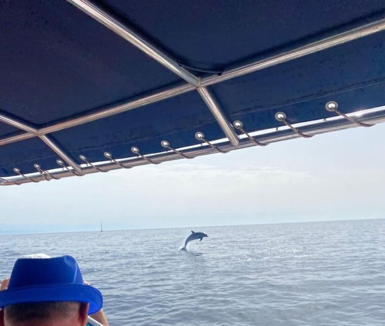 Fuengirola: Fantastic Dolphin Watching Yacht Tour with Drink - Who this tour suits best (and who may want to choose differently)