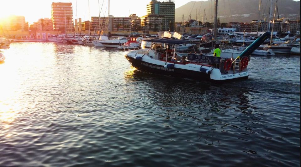 Fuengirola: Fantastic Dolphin Watching Yacht Tour with Drink - The small realities: crowding, other boats, and expectations