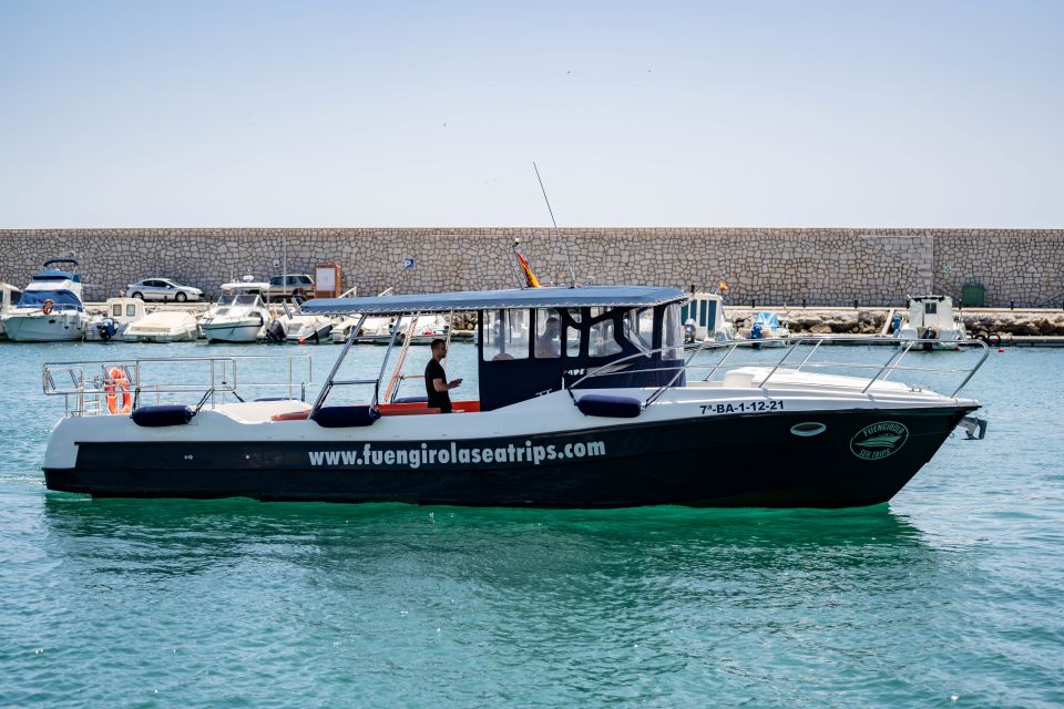 Fuengirola: Luxury Private Boat Rental With Skipper - Dolphin spotting: the odds are good, and the crew’s search matters