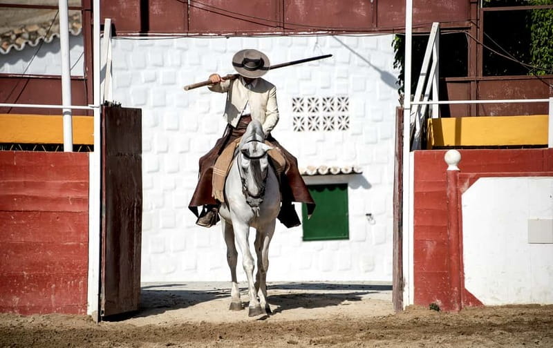 Fuengirola: Spanish Horse Show with Optional Dinner/Flamenco - Cartujano horses at Finca El Cartujano: the main reason to go