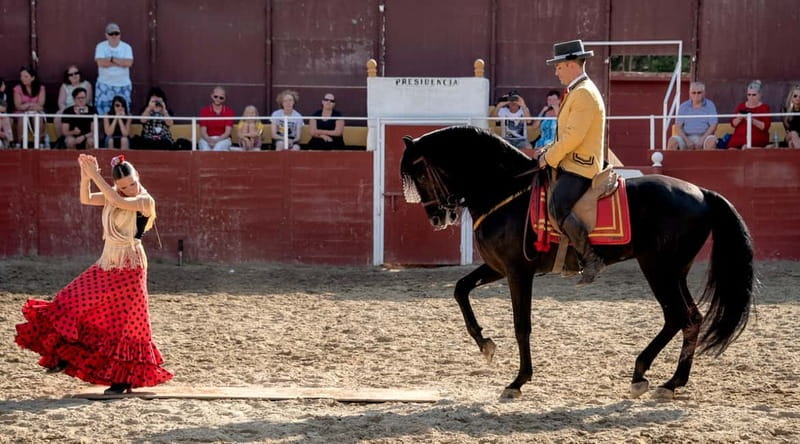 Fuengirola: Spanish Horse Show with Optional Dinner/Flamenco - The Full exp option: how dinner and flamenco fit the same night