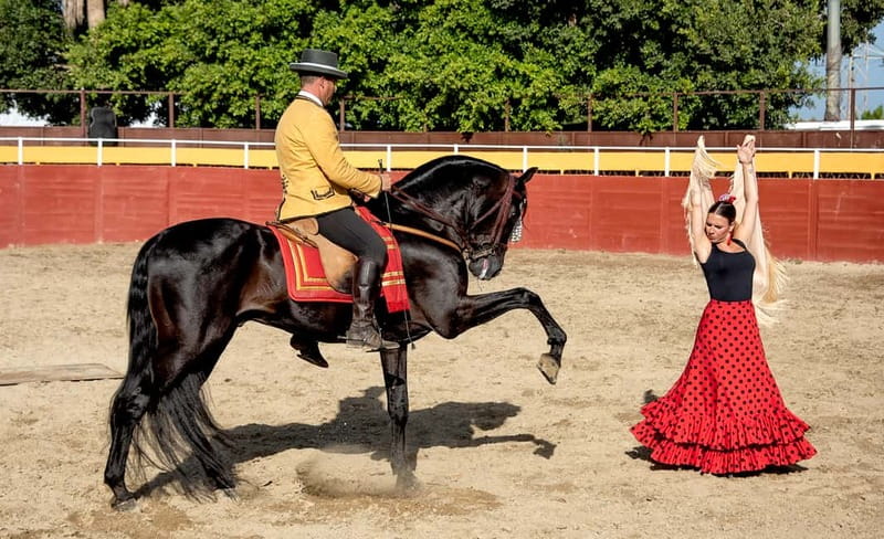 Fuengirola: Spanish Horse Show with Optional Dinner/Flamenco - Paella dinner at 19:45: what’s included in the meal
