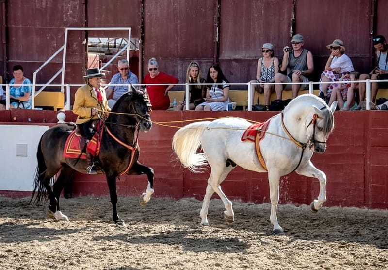 Fuengirola: Spanish Horse Show with Optional Dinner/Flamenco - Who this experience fits best (and who might not love it)