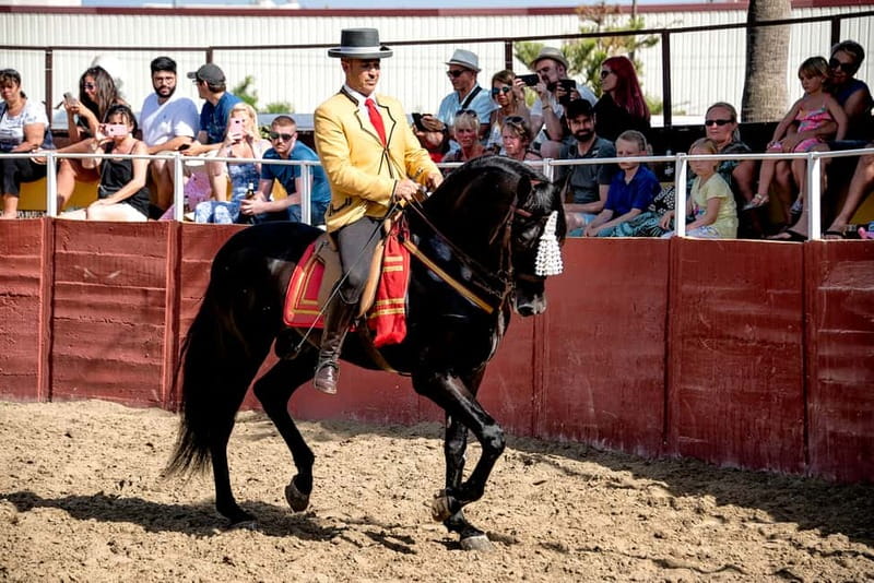 Fuengirola: Spanish Horse Show with Optional Dinner/Flamenco - Should you book Fuengirola’s Spanish Horse Show with dinner and flamenco?
