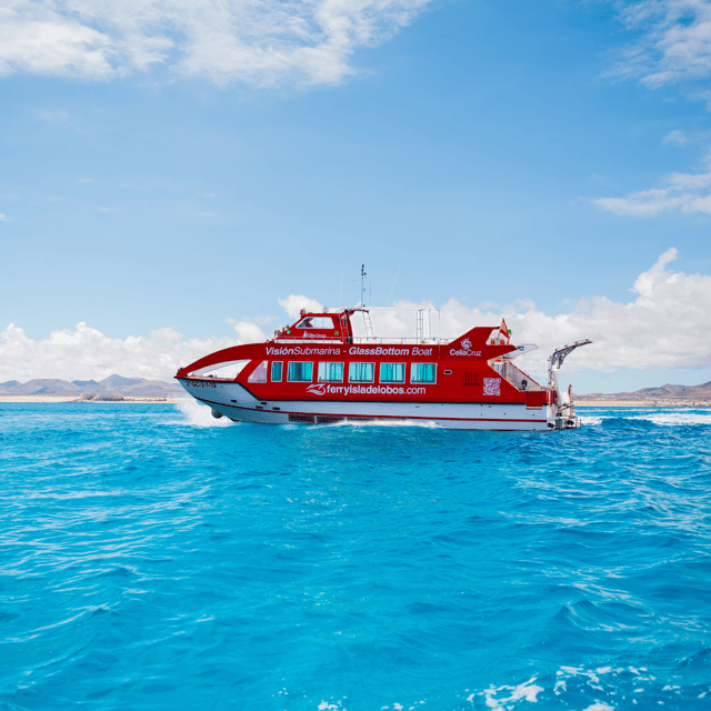 Fuerteventura: 1-Hour Mini Swim & Snorkel Cruise - Snorkeling near Lobos Natural Park: clear water, close views