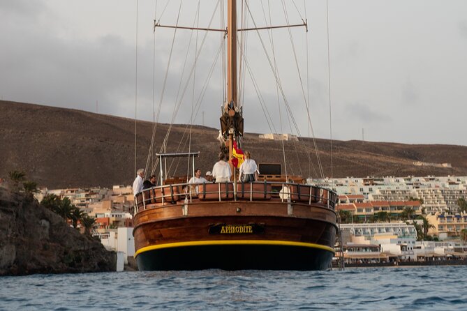 Fuerteventura: Aphrodite Exclusive Gulet with Food and Drinks - Wildlife chances: dolphins and a sea turtle can happen