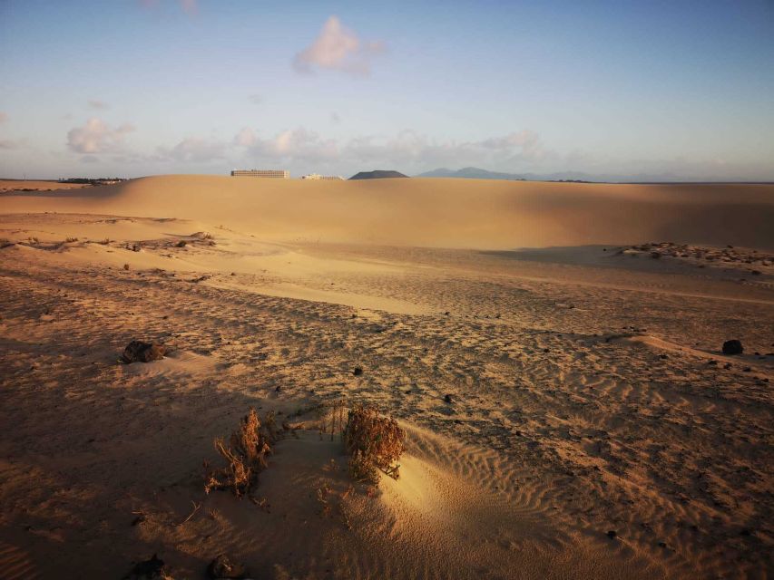 Fuerteventura: Corralejo Sand Dunes Guided Shore Excursion - Price and Value: What You Get for Around $23