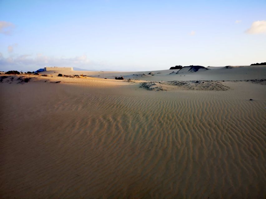 Fuerteventura: Corralejo Sand Dunes Guided Shore Excursion - Who Should Book This Guided Dunes Shore Excursion?