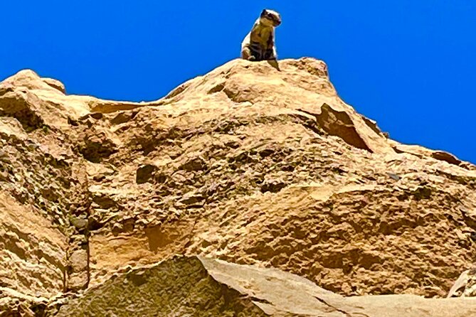Fuerteventura: Discover Fuerteventura Tour max 8pax - Stop 2: Ajuy and the cave walk on black volcanic sand