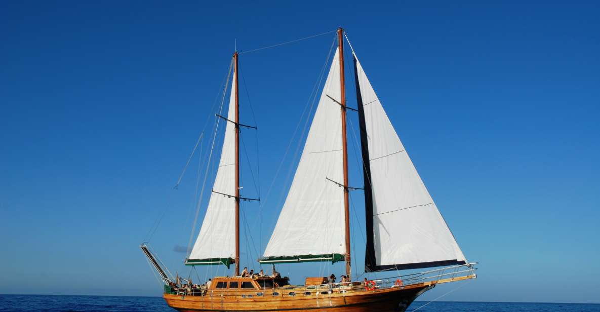 Fuerteventura: Exclusive Turkish Gulet Cruise with Lunch - Aphrodite Gulet in Fuerteventura: what this cruise feels like