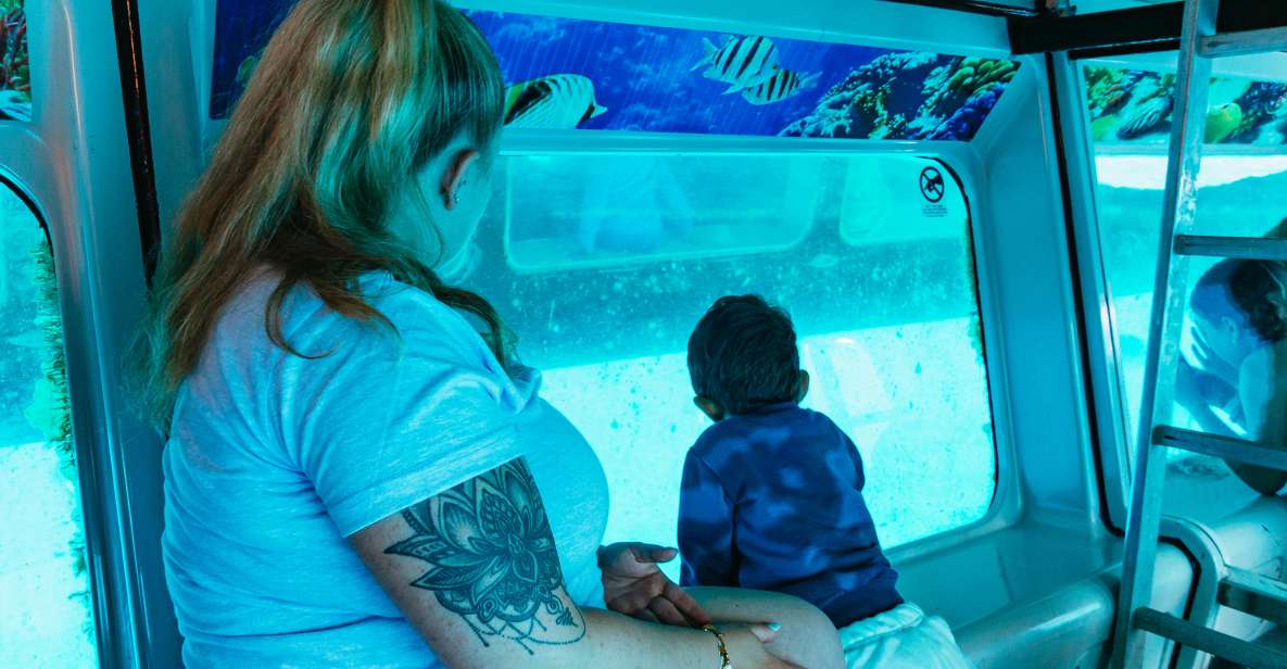 Fuerteventura: Glass Bottom Boat Cruise with Lunch & Drinks - Janía Natural Park Wildlife Search: What You Can Actually Expect