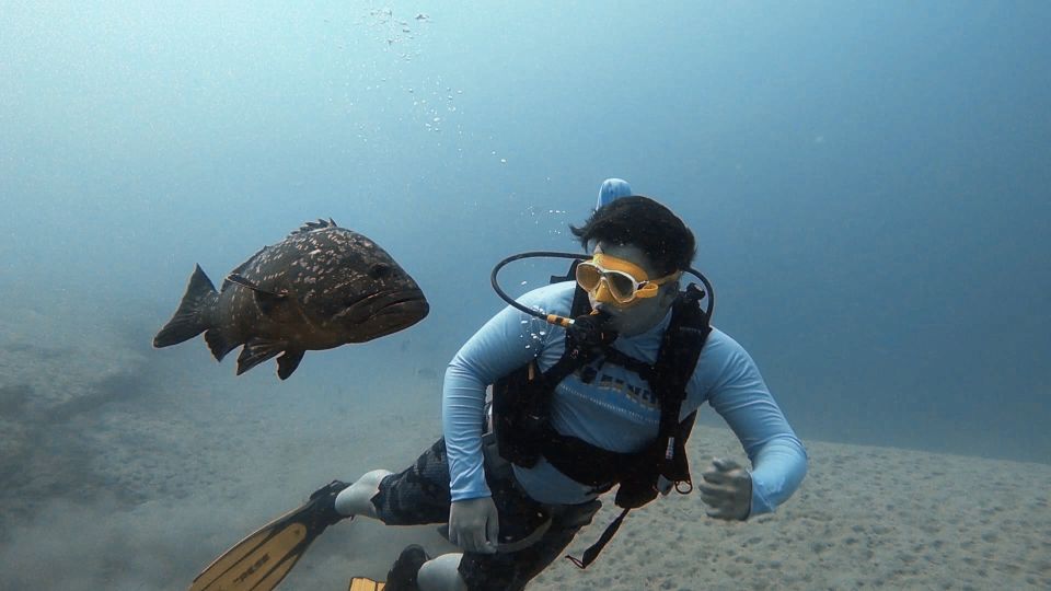 Fuerteventura: Introduction to Scuba Diving - Safety briefing and gear prep: what you’ll do before going underwater